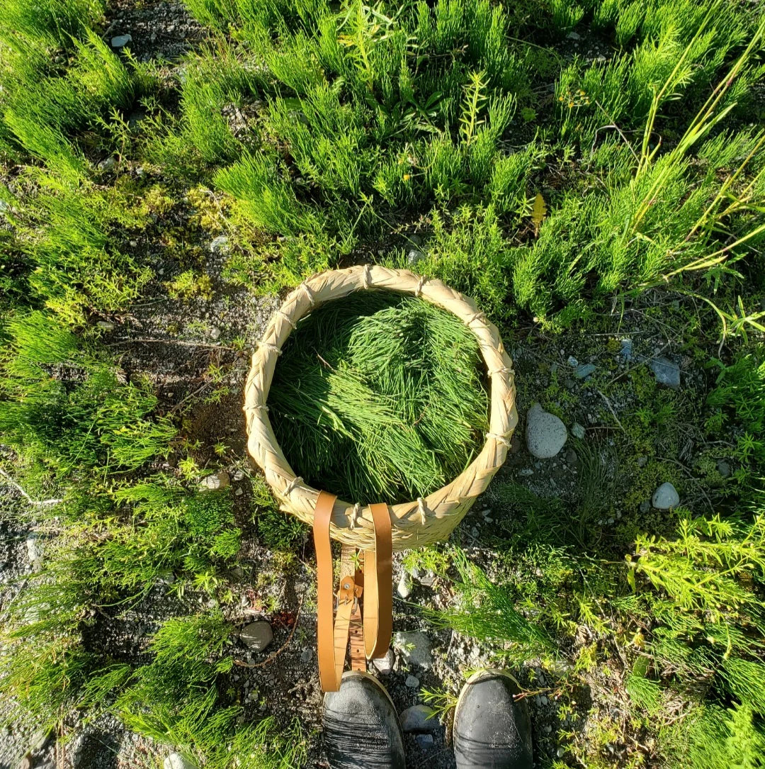 Horsetail Shampoo Bar