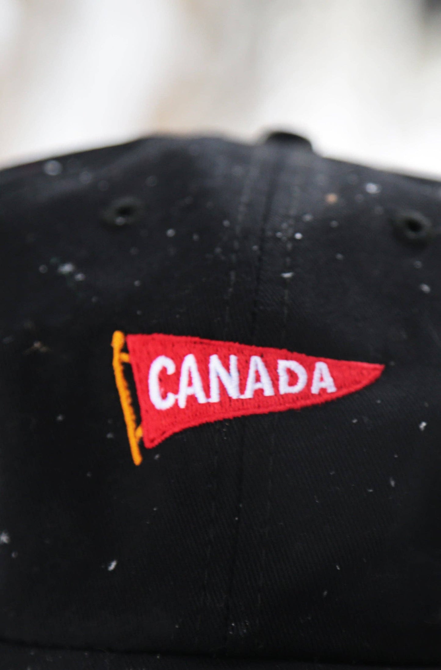 6 Panel - Black -  Pennant Embroidery - Stanfields Collab