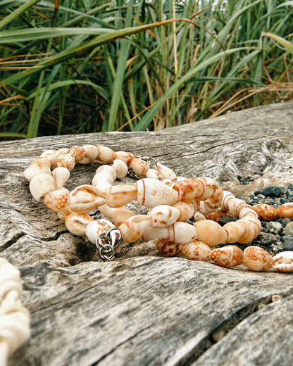 Puka Shell Bracelet