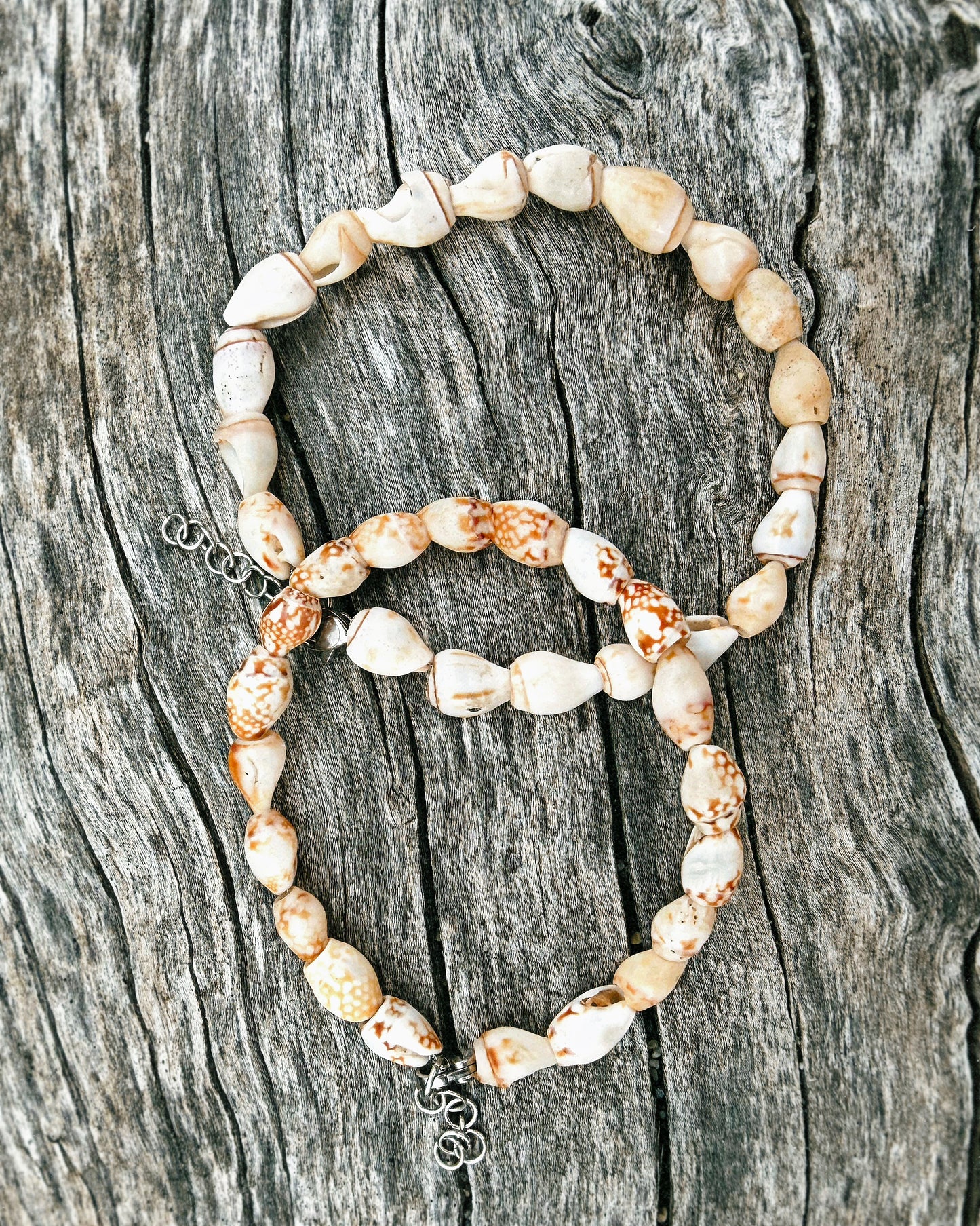 Puka Shell Bracelet