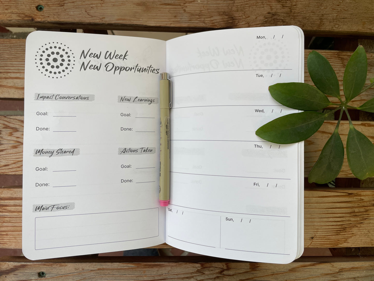 My ripple effect planner - Wild and Heart