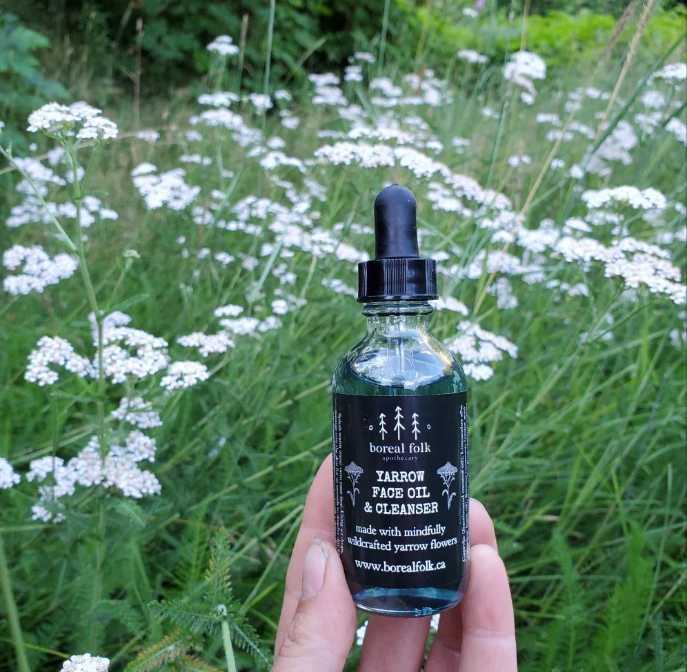 Yarrow Face Oil Cleanser - Wild and Heart