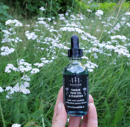 Yarrow Face Oil Cleanser - Wild and Heart